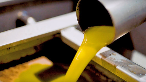 olive oil extraction equipment 640 x 360