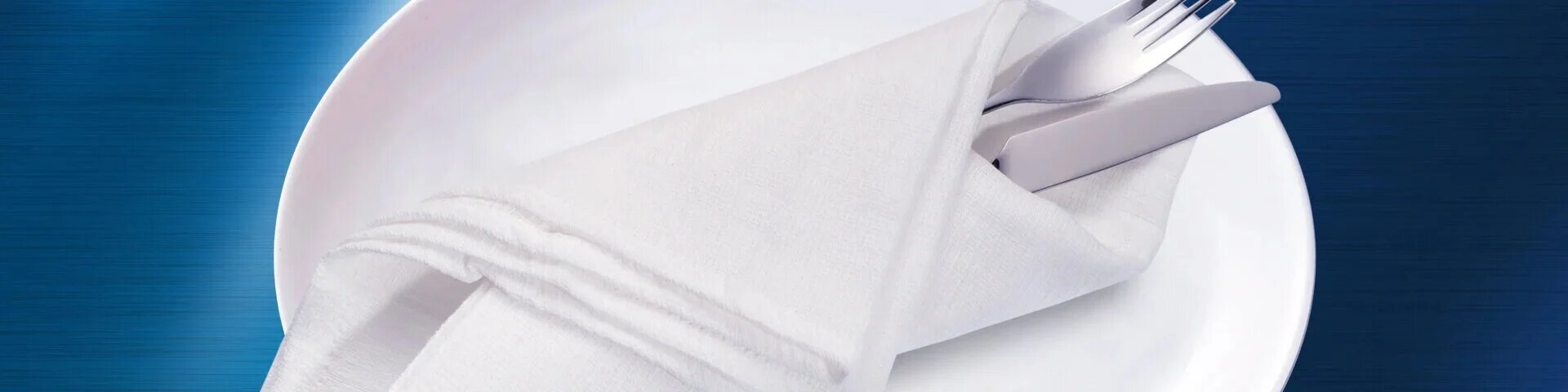 foodec-hygiene-plus web-hero-banner 1920-x-480v3 (1)