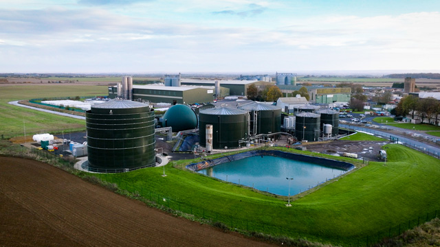 Bisviridi-AD-plant-in-UK.jpg