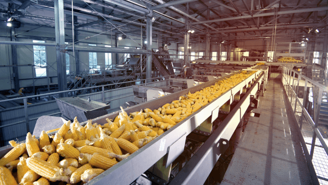 Harvesting energy efficiency in the Canadian agriculture processing industry.png